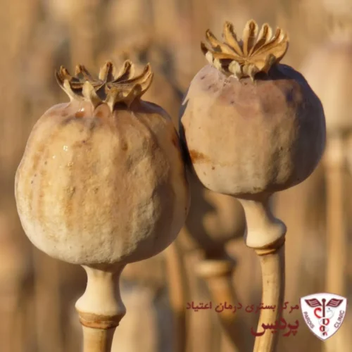 ترک تریاک با کمترین عوارض